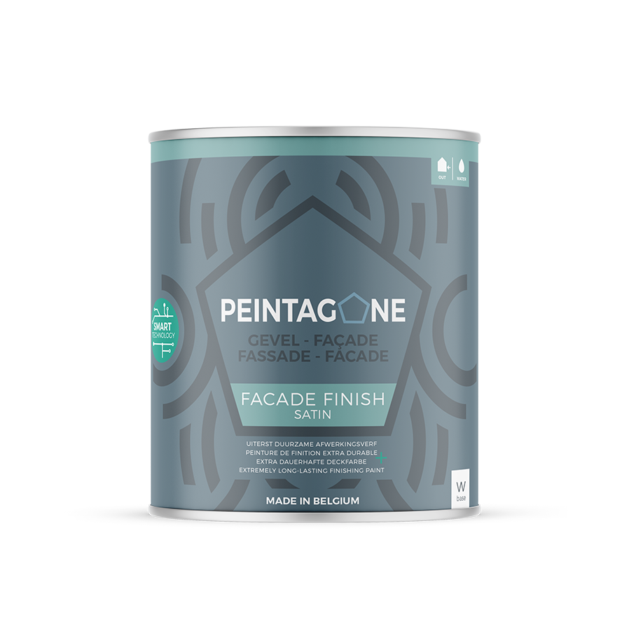 Peinta Facade Finish Wit