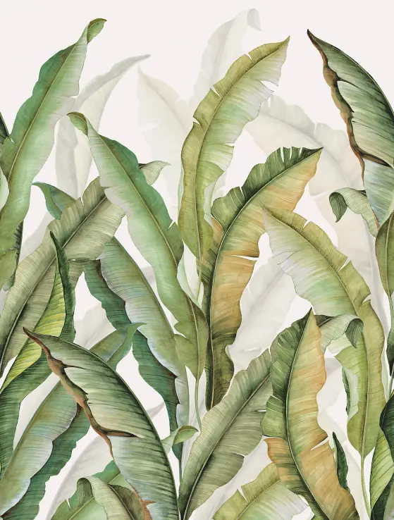 Feature Walls Palm Leaves grn 212x280cm