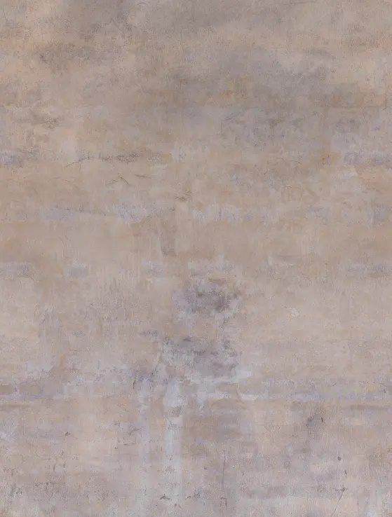 Feature Walls Concrete taupe 212x280cm