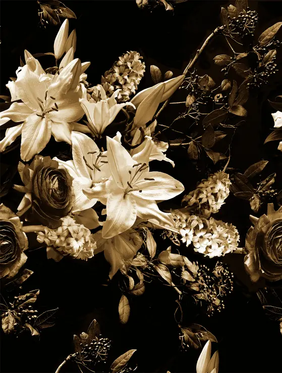 Feature Walls Flowers sepia 212x280cm