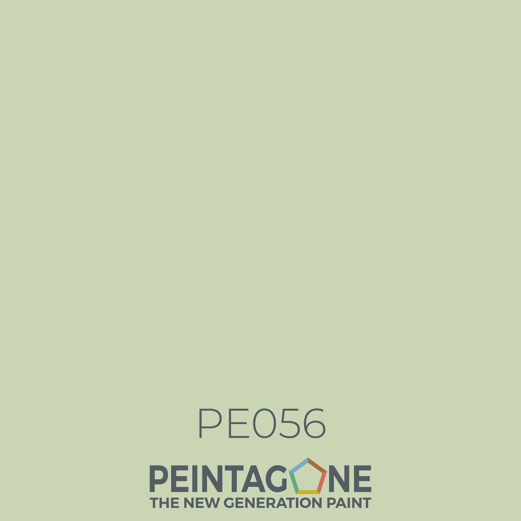 PeintaKleur  PE056 Matcha