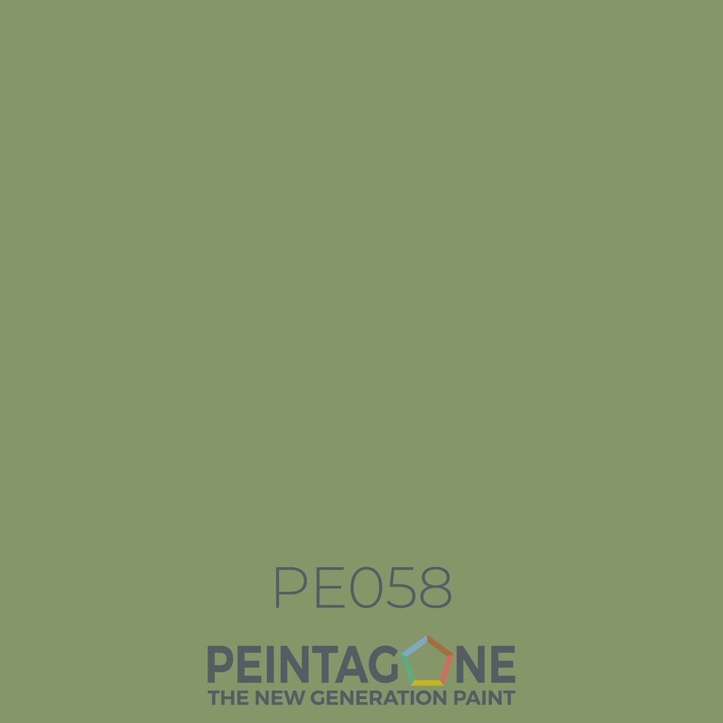 PeintaKleur  PE058 Wasabi