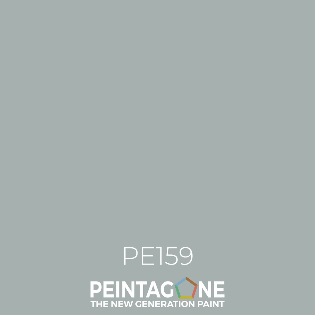 PeintaKleur  PE159 Old Grey