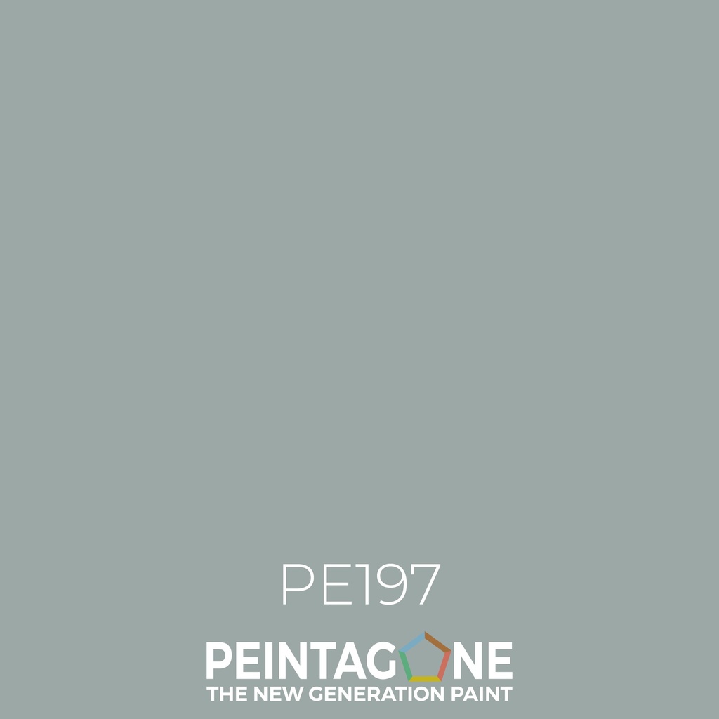 PeintaKleur  PE197 Perfect Match