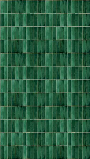 [12FW4045.4] Feature Walls Tiles green 159x280cm