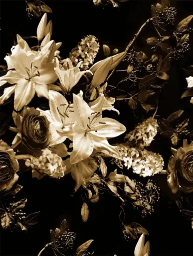 [12FW4065.2] Feature Walls Flowers sepia 212x280cm