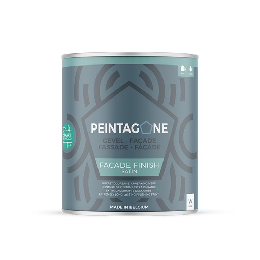 Peinta Facade Finish Wit